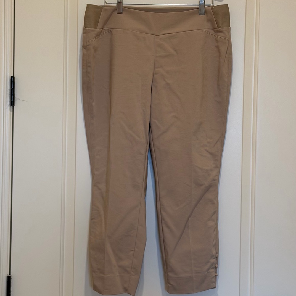 Investments Ankle-Length Beige Pants